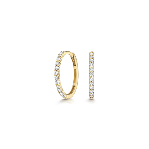 Stacked from 11 images. Method=B (R=8,S=6) 9k Gold Diamond Set Hoop Earrings - Image 1